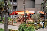 Sailor's Beach Club