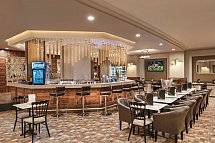 Botanik Platinum - Irish Pub