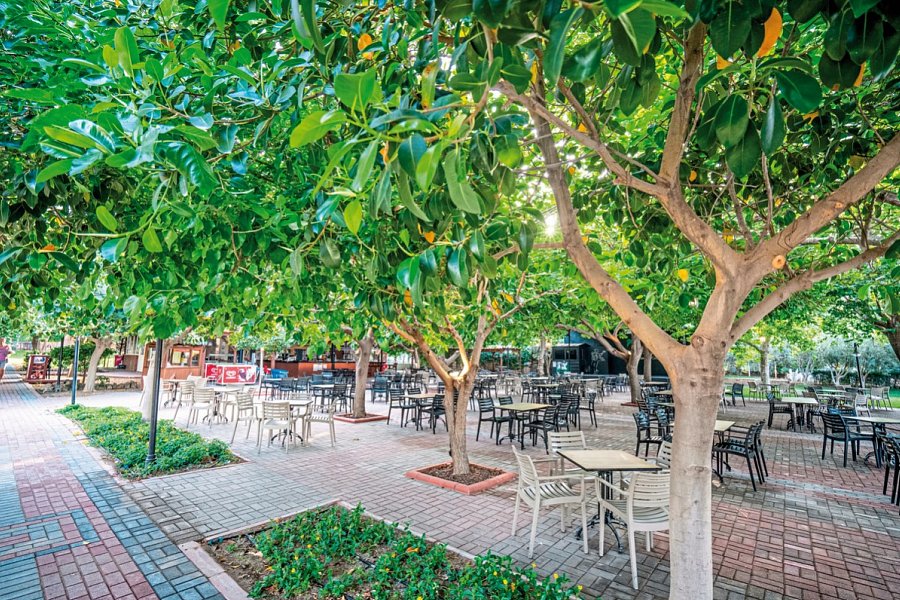 Gardenia Beach