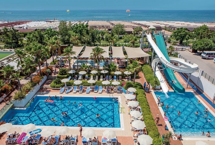 Trendy Verbena Beach