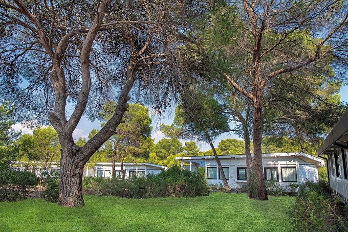 Alborea Ecolodge Resort