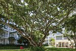 The Standard Hua Hin