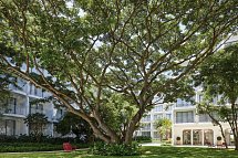 The Standard Hua Hin