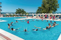 Festa Panorama