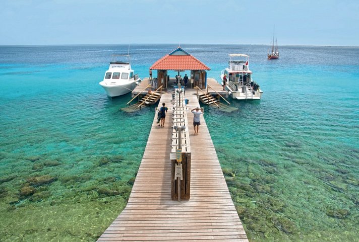 Divi Flamingo Beach Resort & Casino