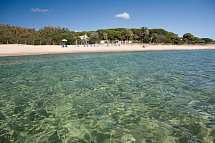 Mare Pineta