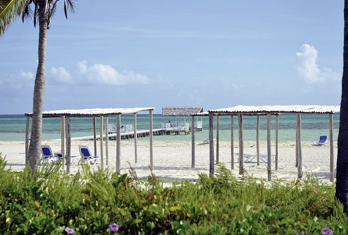 Starfish Cayo Guillermo