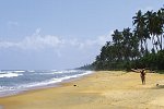Siddhalepa Ayurveda Health Resort