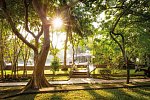 Siddhalepa Ayurveda Health Resort