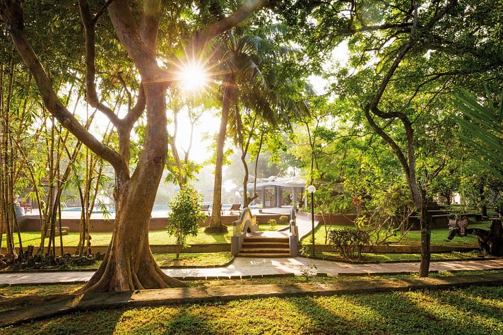 Siddhalepa Ayurveda Health Resort