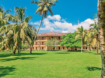The Palms Hotel