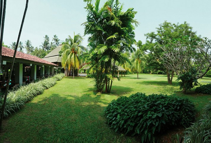 The Palms Hotel