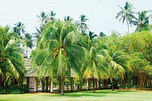 The Palms Hotel