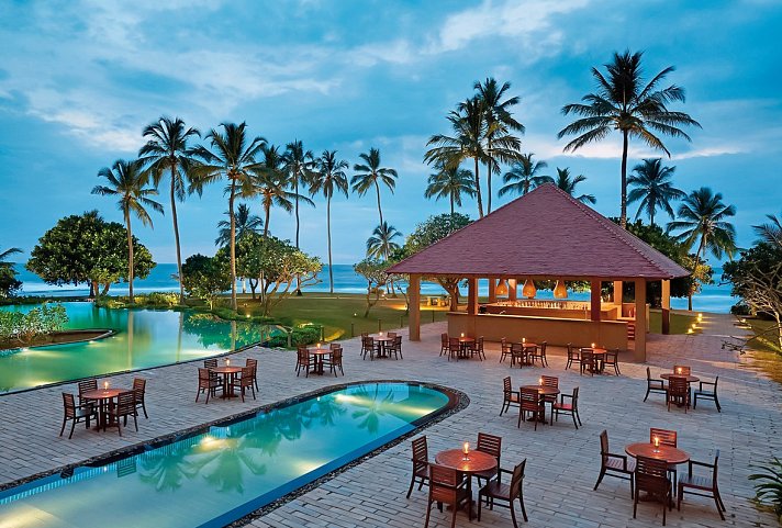 Hikka Tranz by Cinnamon