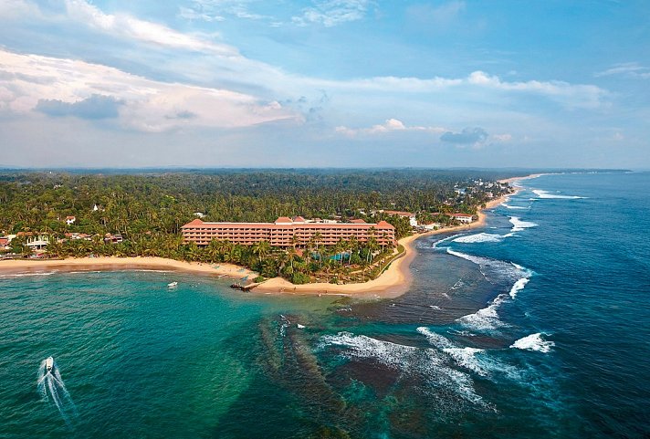 Hikka Tranz by Cinnamon