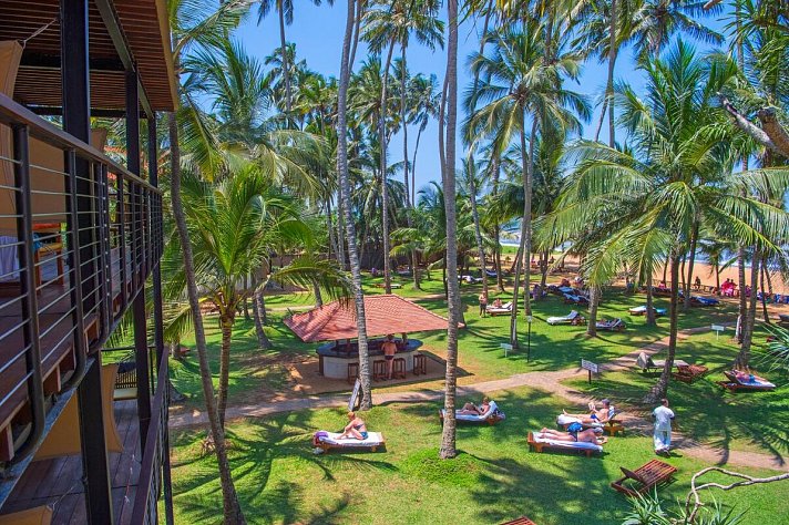 Mermaid Hotel & Club