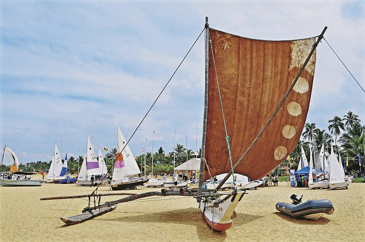 Goldi Sands Hotel