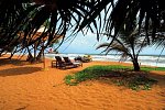 Temple Tree Resort & Spa