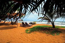 Temple Tree Resort & Spa