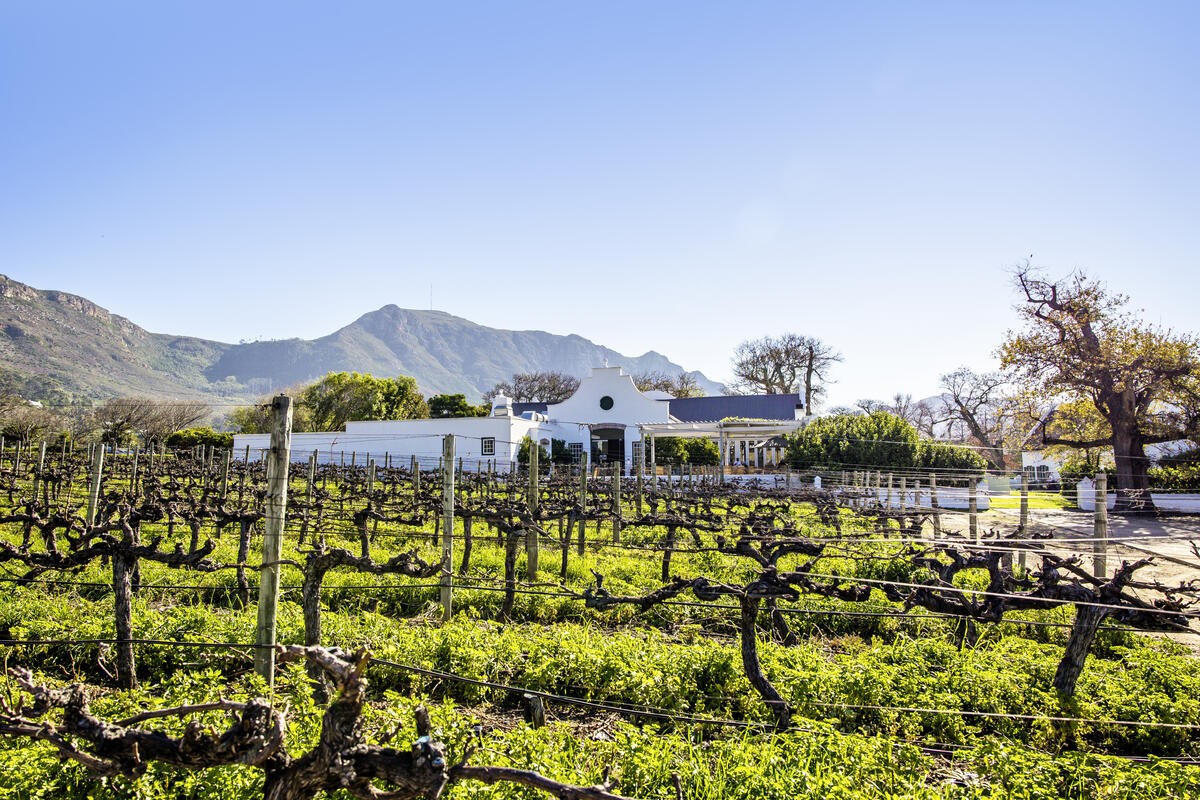 Steenberg Hotel