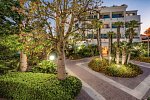 Acacia Marina