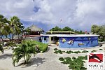 Chogogo Dive & Beach Resort