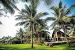 Palm Garden Resort