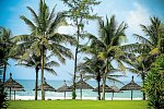 Palm Garden Resort