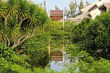 Palm Garden Resort