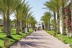 Club Palm Azur