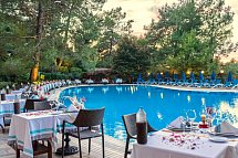 Montana Pine Resort Hotel & Spa