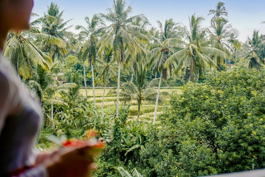 Sakti Garden Resort & Spa