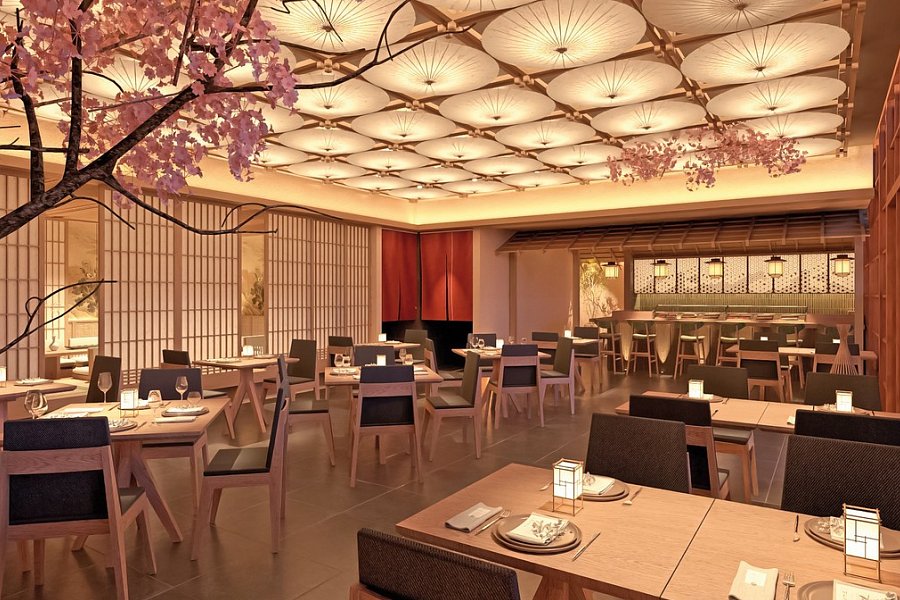 Paradisus by Meliá Bali - Restaurant „Tokimeku“