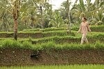 The Samaya Ubud Bali
