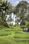 Four Seasons Resort Bali at Sayan