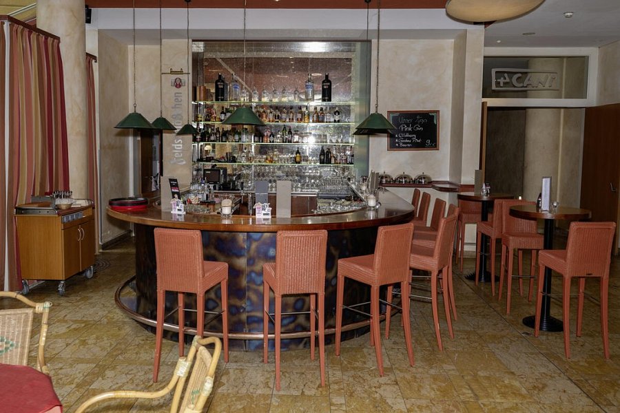 Hotel Elbflorenz Dresden - Bar