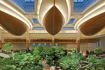Grand Hyatt Dubai Resort and Waterpark