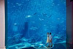 Atlantis, The Palm