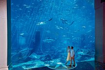 Atlantis, The Palm
