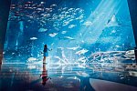 Atlantis, The Palm