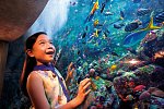 Atlantis, The Palm