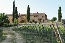 Tenuta Sovestro