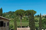 Tenuta Sovestro