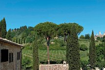 Tenuta Sovestro