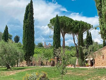 Tenuta Sovestro