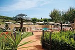Tenuta Sovestro