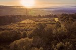 WALD.WEIT Rheingau Hotel & Retreat