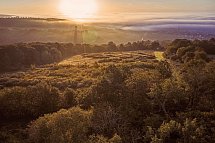 WALD.WEIT Rheingau Hotel & Retreat