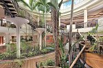 Sheraton Fuerteventura Beach, Golf & Spa Resort