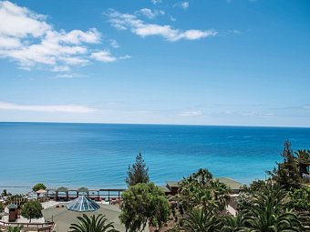 Marina Playa Suites